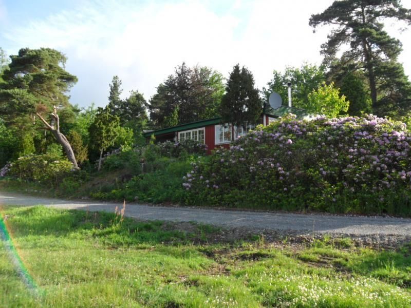 Haus umgeben von Rhododendren