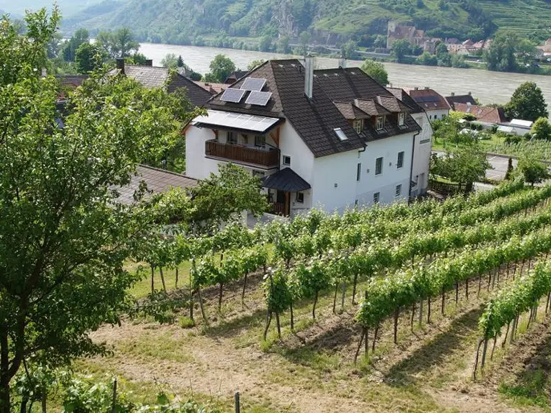 Weingut Pammer Außenansicht Weingut Pammer Außenansicht