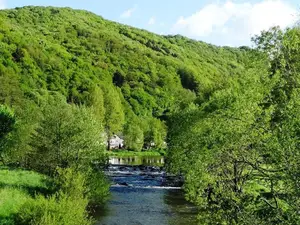 Die Wied bei Waldbreitbach Die Wied bei Waldbreitbach