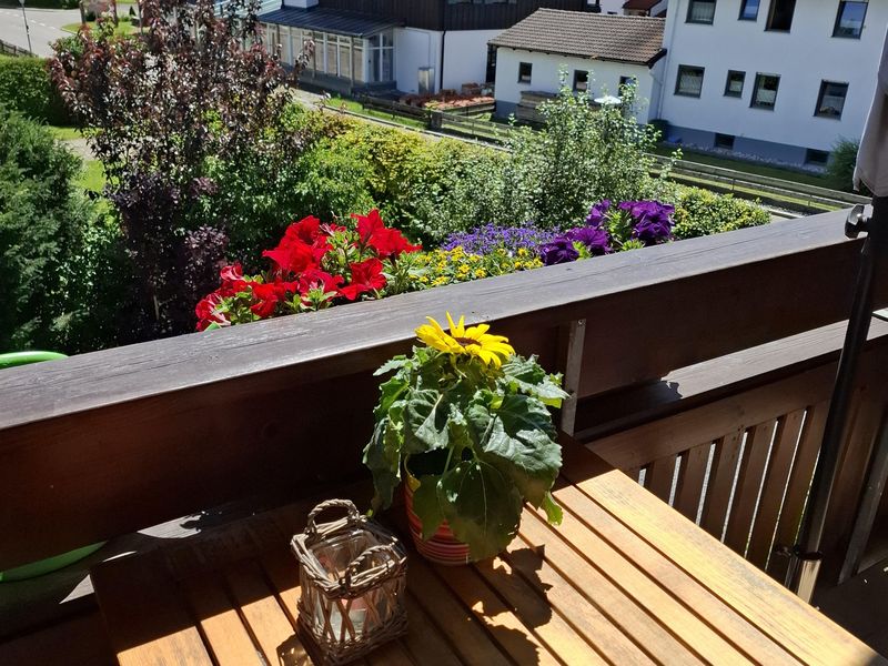 Aussicht Balkon