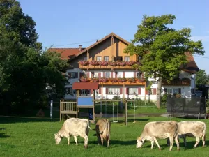 hofmitkhen hofmitkhen