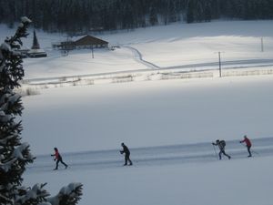 Langlaufen direkt vor dem Haus