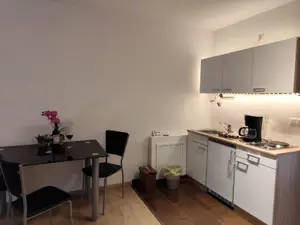 Ferienwohnungen zur Burgruine