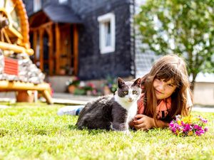 Kuscheln mit der Katze