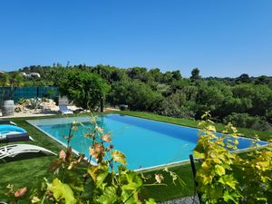 piscine vignes