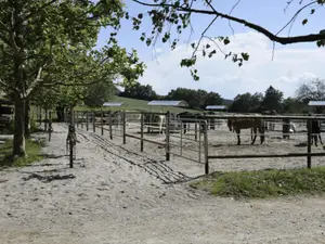 Paddocks für die Pferde Paddocks für die Pferde