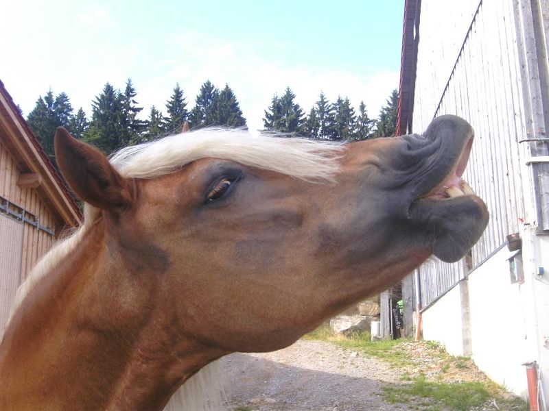 Hallo am Haidberg