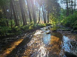 Wandern in der Nähe