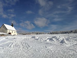 Langlaufen am Thurner - 09.01.2021