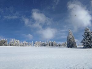 Winterlandschaft Sankt Märgen