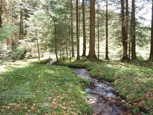 Romantischer Bachlauf