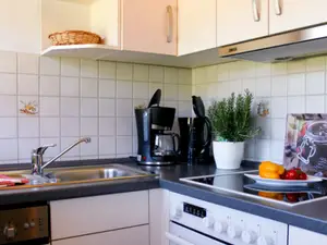 Kücheneinrichtung der Wohnung Flieder