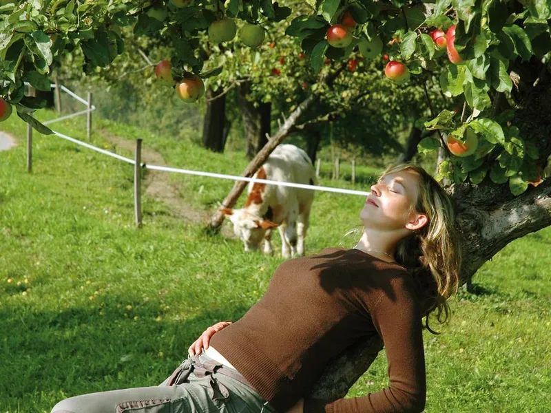 Entspannen am Nussbaumerhof