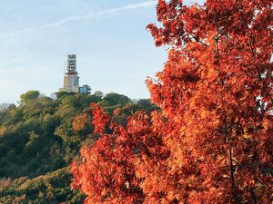 Schaumbergturm in Tholey