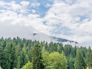 Direkte Umgebung [Sommer] (<1 km)