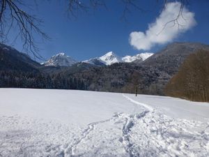 Winterwanderwege