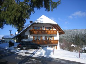 Haus Waldvogel Winter