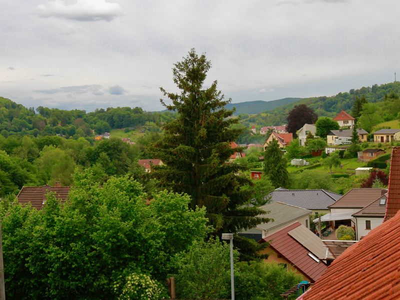 Ferienhaus Walter Ausblick