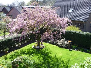 Ausblick vom Balkon