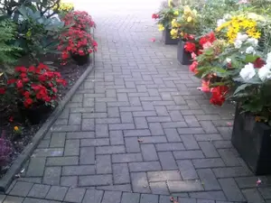 Weg zum Haus Weg zum Haus