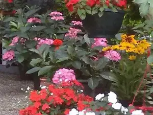 Bick auf die Terrasse Bick auf die Terrasse