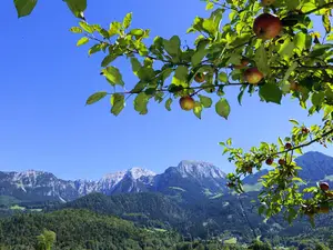 Ausblick auf die Berge