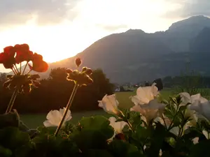 Morgenstimmung Morgenstimmung