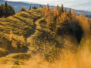 Wandern im Herbst