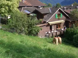 Chalet Balkon Nachmittags!