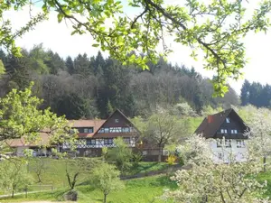 Feriehof im Frühling