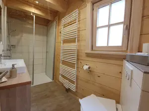 Badezimmer mit Dusche und WC