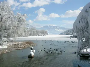 Winter am See Winter am See