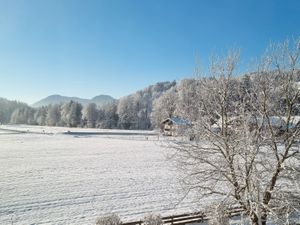 Ferienwohnungen am Alpenrand Ausblick vom Balkon