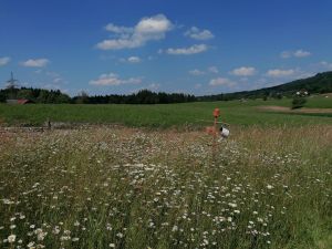 Ausblick von Ferienwohnung