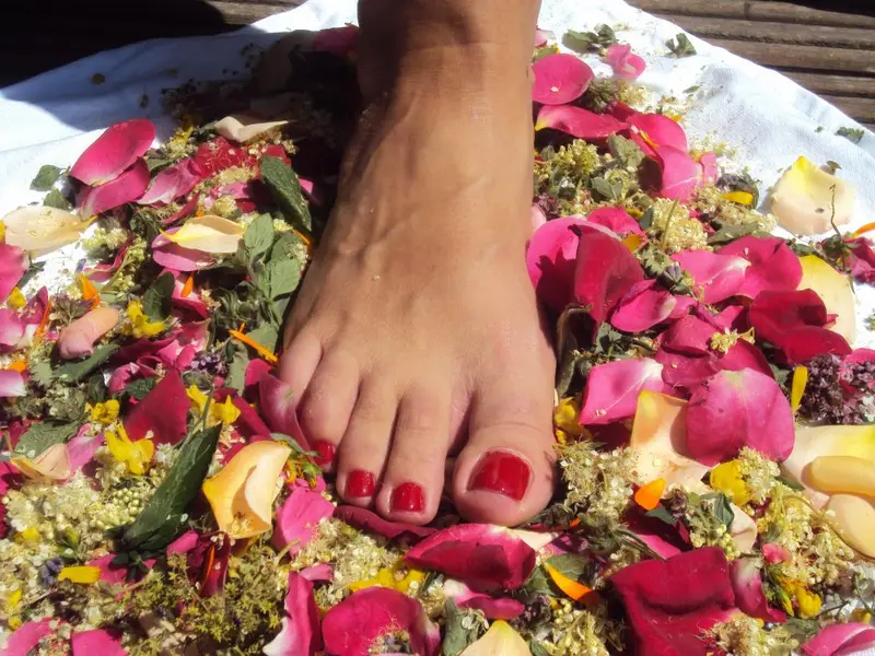 In Kräuterschuhen auf Wolke 7