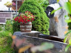 Brunnen beim Haus