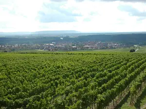 Blick vom Aussichtsturm auf Sommerach Blick vom Aussichtsturm auf Sommerach