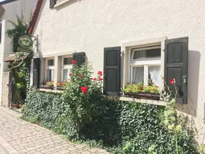 Fenster des Appartement "Rosenberg" Fenster des Appartement "Rosenberg"