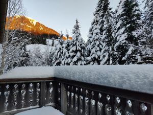 Die Terrasse mit Wald- und Bergblick, welche im Sommer zum grillieren einlädt.