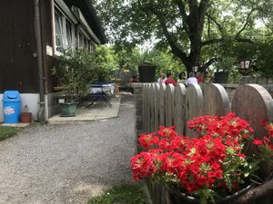 Unser Gastgarten mit Nussbaum