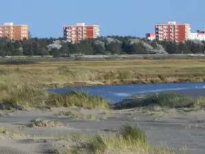Blick vom Strand im Sommer Blick vom Strand im Sommer