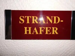 Strandhafer Strandhafer