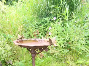 Vogeltränke Vogeltränke