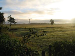 Früh morgens hinterm Haus