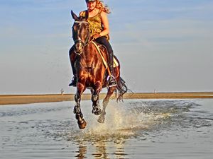 Ausreiten am Böhler Strand