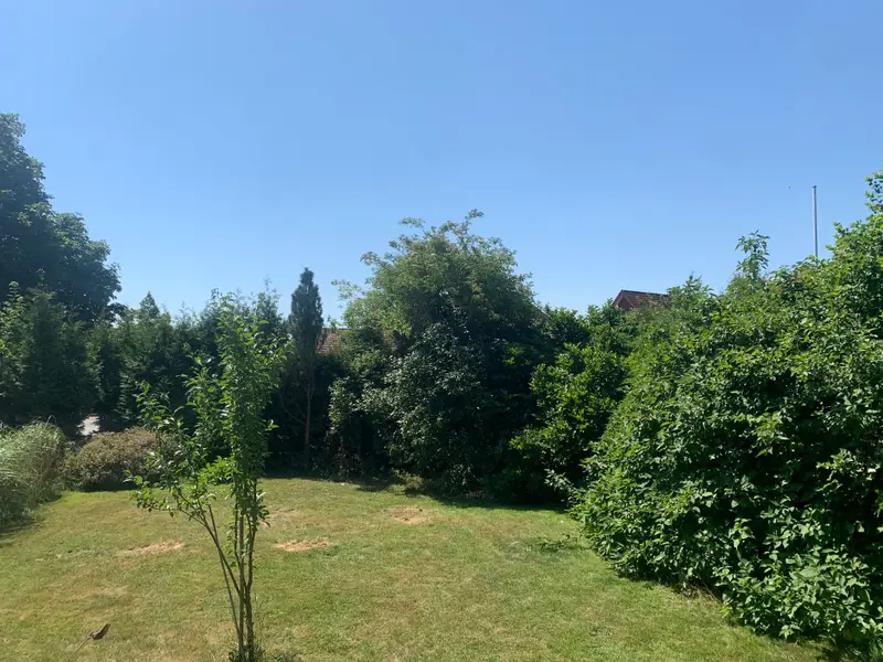 Garten4 Garten4