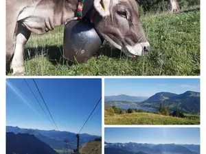 Das Allgäu Das Allgäu