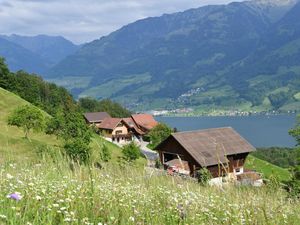 Sommer auf dem Lamahof MIrgg