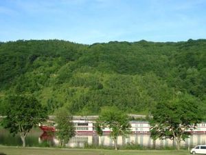 Aussicht auf die Mosel