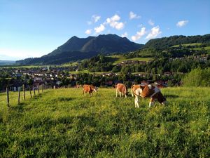 Ausblick oberhalb Binswangen auf Sonthofen